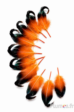 Anatra - 6-9 cm - arancioni-nero